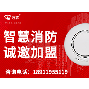 Netflix certified TV stick for Global Markets: Wanlin Source Factory Success Cases
